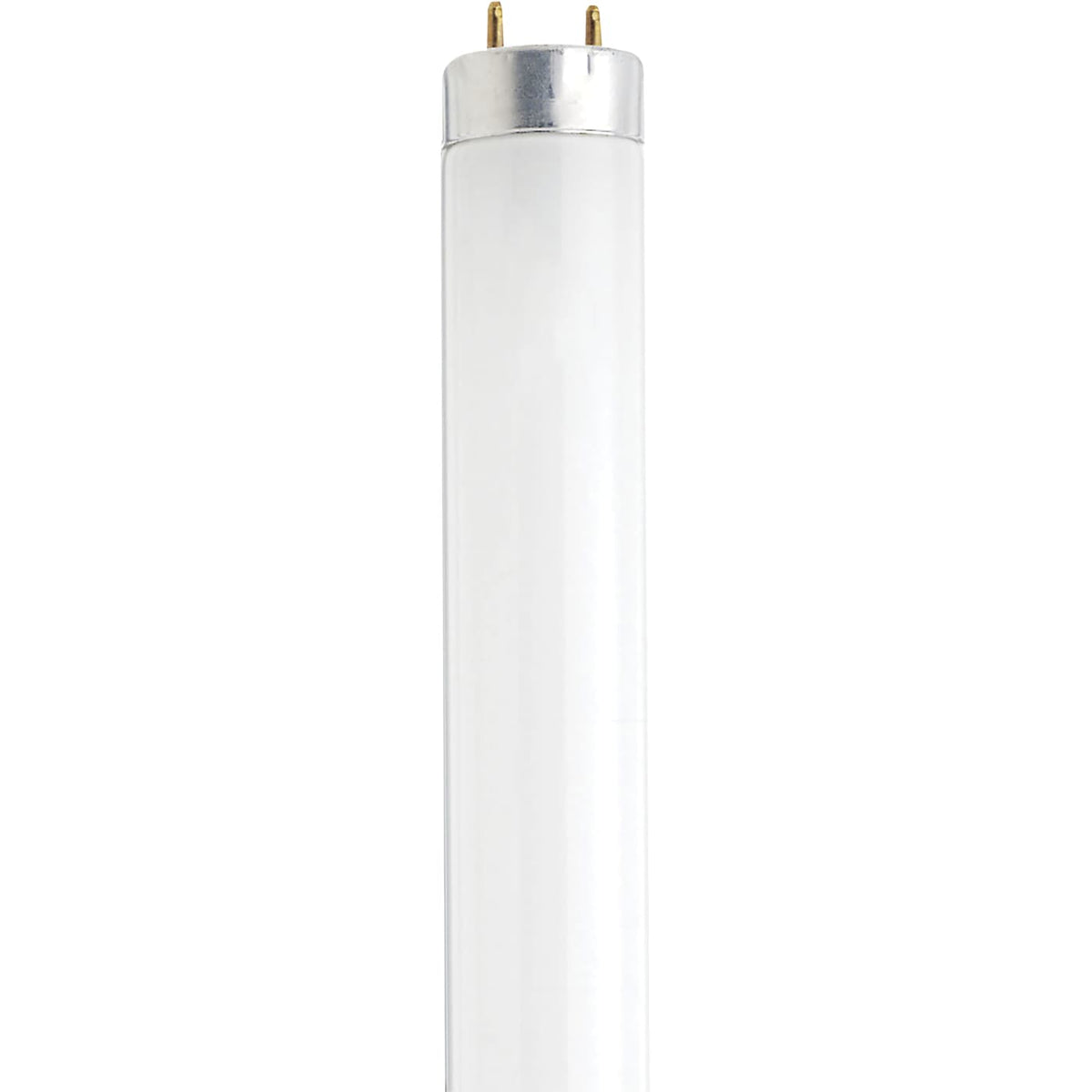 Satco S7920 13 Watt 12 Inch Fluorescent T8 4100K Cool White Medium Bi Pin base