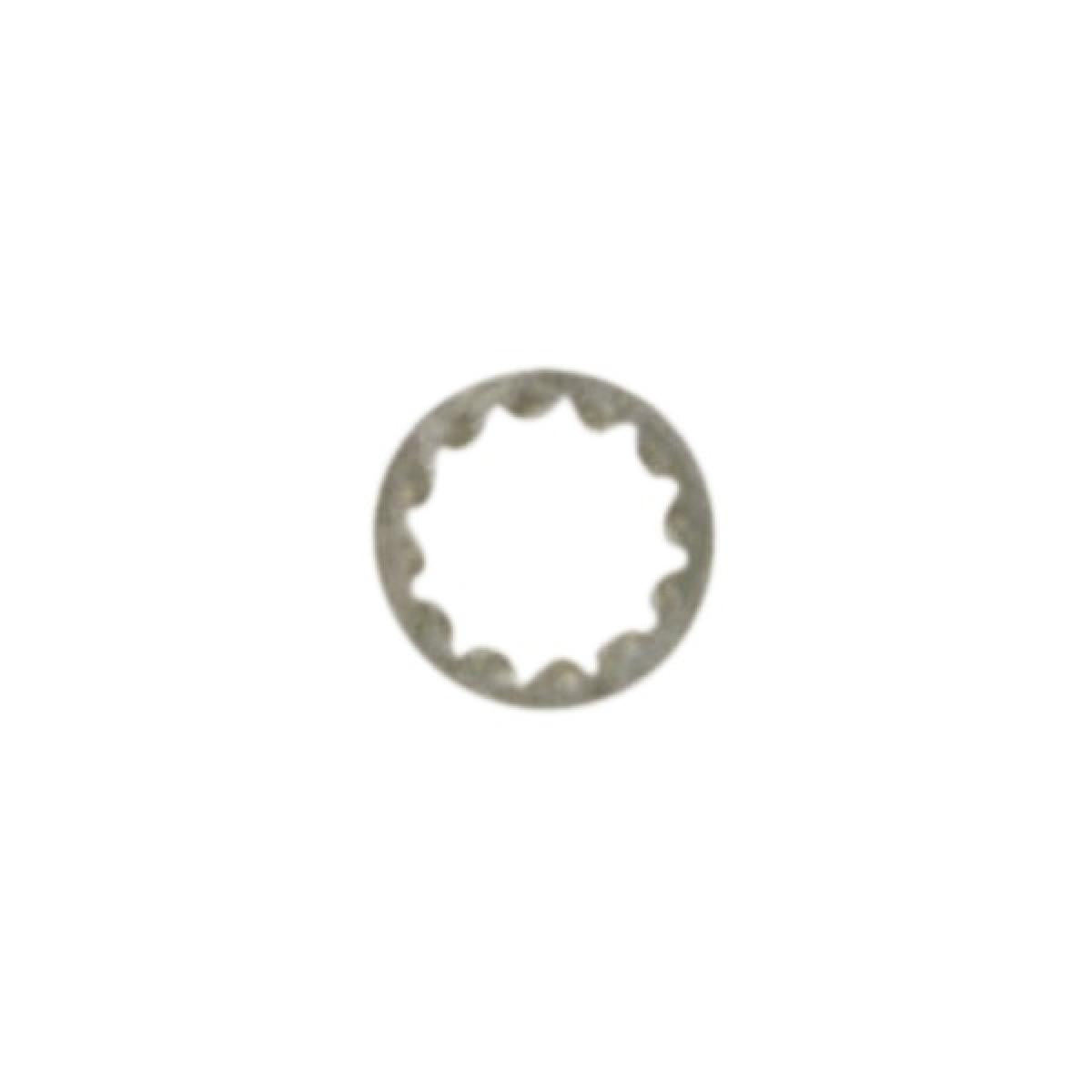 Satco 90-1579 Toothwasher 1/4 IP Slip Unfinished
