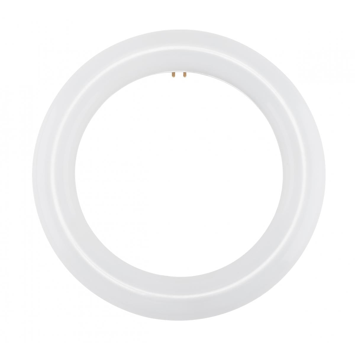 Replacement for Satco S16502 LED Circline 11 Watt T9 6500K G10Q Base 120-277 Volt Type B Ballast Bypass -NOW S16510