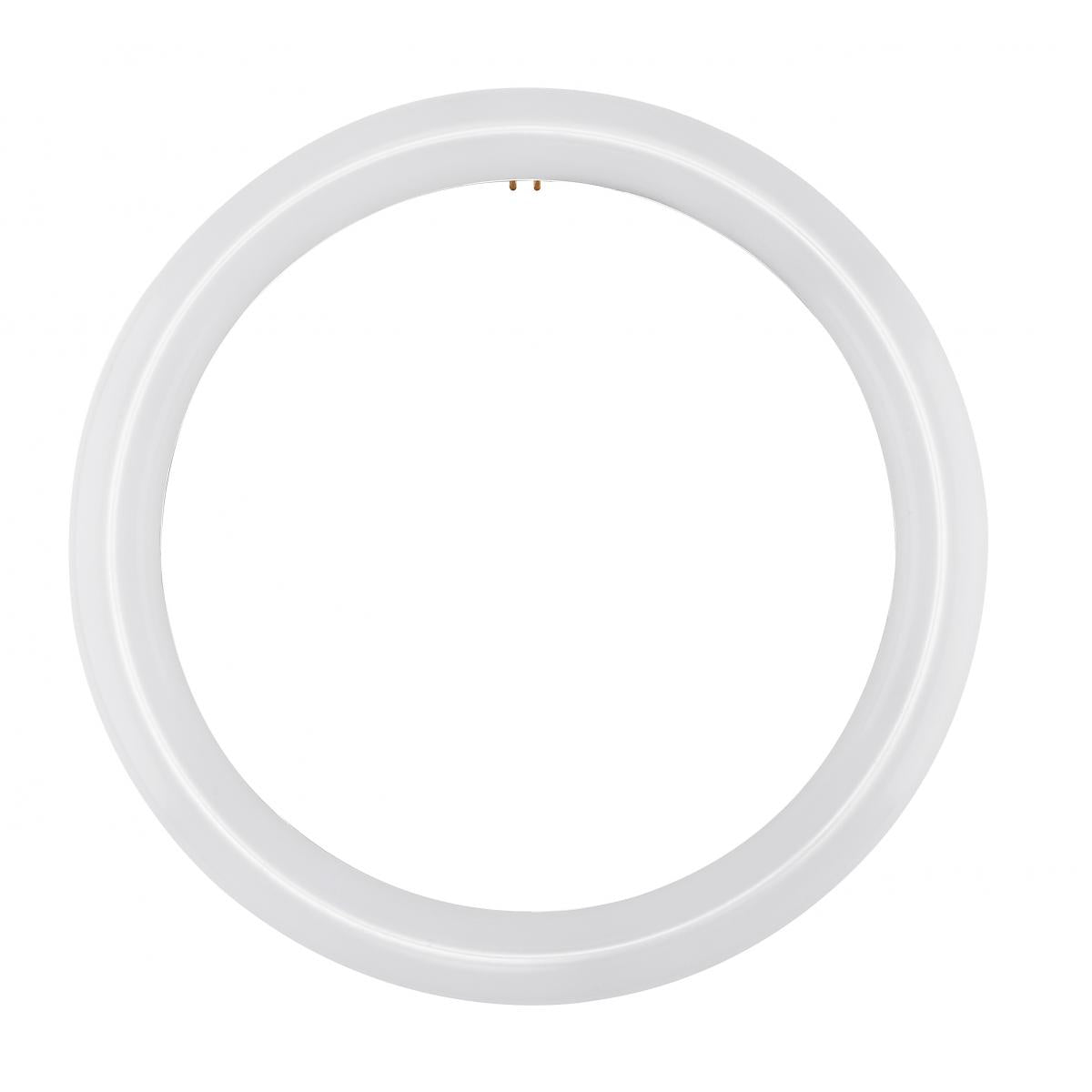 Replacement for Satco S16505 LED Circline 16 Watt T9 6500K G10Q Base 120-277 Volt Type B Ballast Bypass - NOW S16511