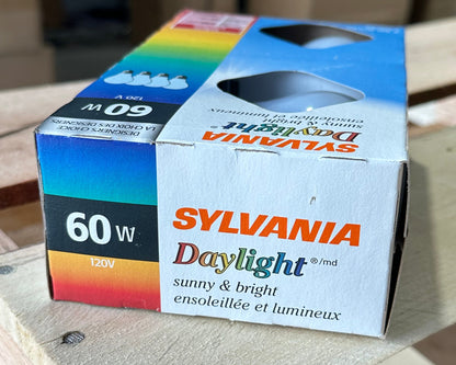 Sylvania 11509 60A19/DAYLIGHT/4PK 60W A19 Incandescent Daylight FOUR Pack 640 Lumen Frosted Reveal