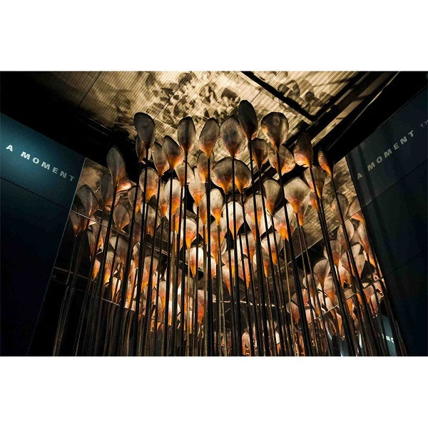 Chandelier lighting using Soraa SNAP 2 inch 3/4 CTO color filter