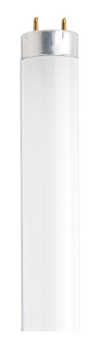 Satco S26519 30 Watt 36 Inch Fluorescent T8 3000K Medium Bi-pin G13 - CASE PACK 30