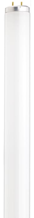 Satco S26565 20 Watt Fluorescent T12 4100K Medium Bi-pin (G13) Base