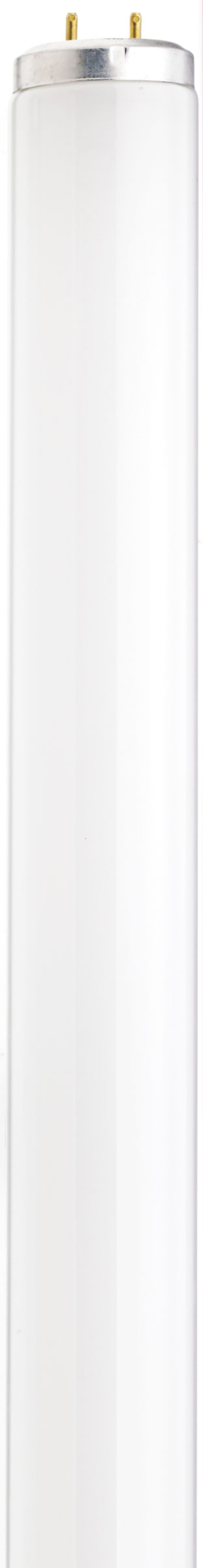 Satco S6579 20 Watt  T12  Shatter Proof Fluorescent  4100K Cool White  62 CRI  Medium Bi Pin base