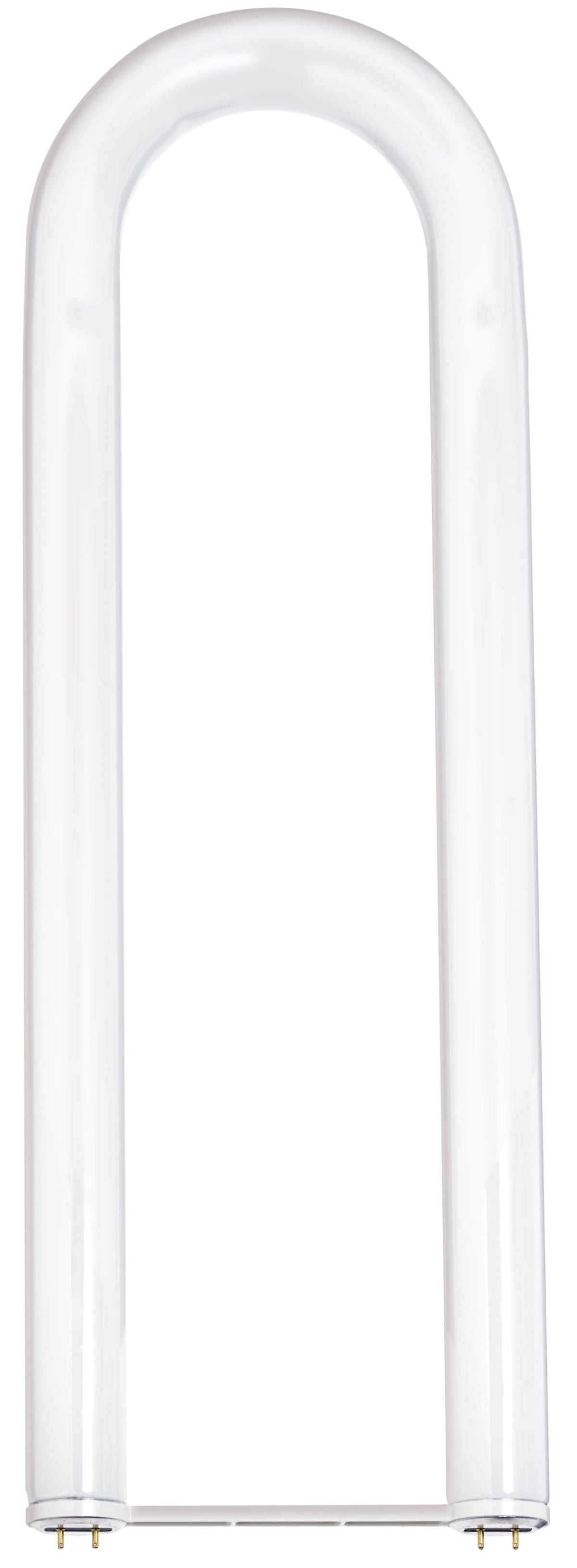Satco S6593 40 Watt  T12  U-Bend Shatter Proof Fluorescent  4200K Cool White  62 CRI  Medium Bi Pin base