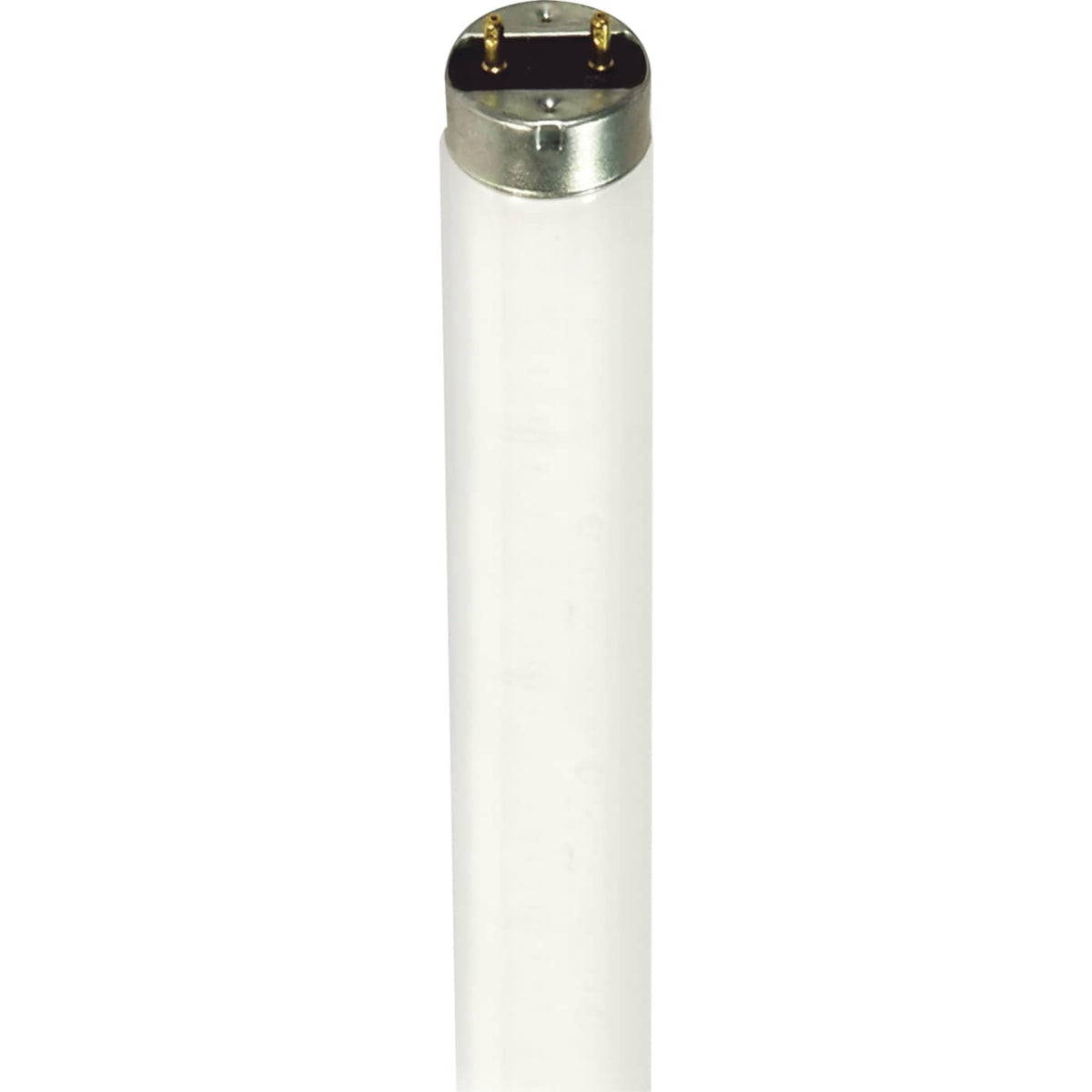 Satco S7633 32 Watt  T8  Fluorescent  4100K Cool White  Medium Bi Pin base  TF Shatter Proof