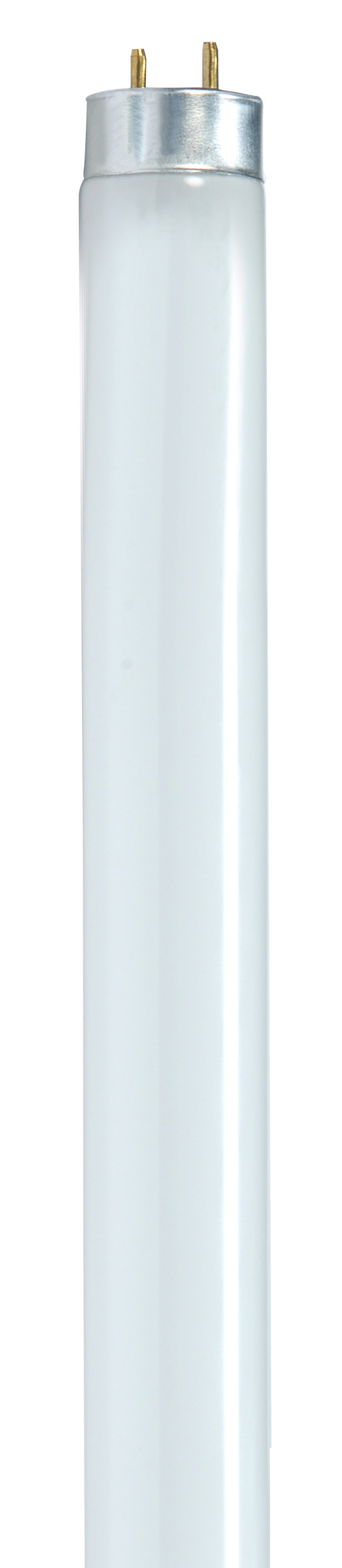 Satco S8441 25 Watt  T8  Fluorescent  5000K Natural Light  85 CRI  Medium Bi Pin base