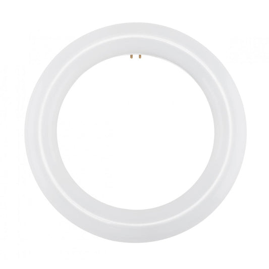 Replacement for Satco S16501 LED Circline 11 Watt T9 4000K G10Q Base 120-277 Volt Type B Ballast Bypass - NOW S16510