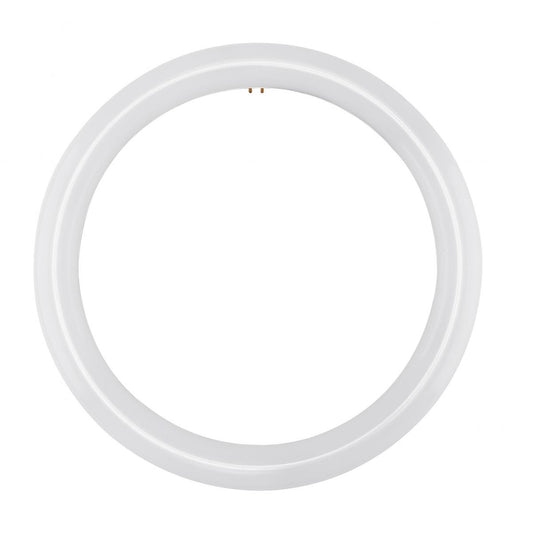 Replacement for  Satco S16505 LED Circline 16 Watt T9 6500K G10Q Base 120-277 Volt Type B Ballast Bypass - NOW S16511