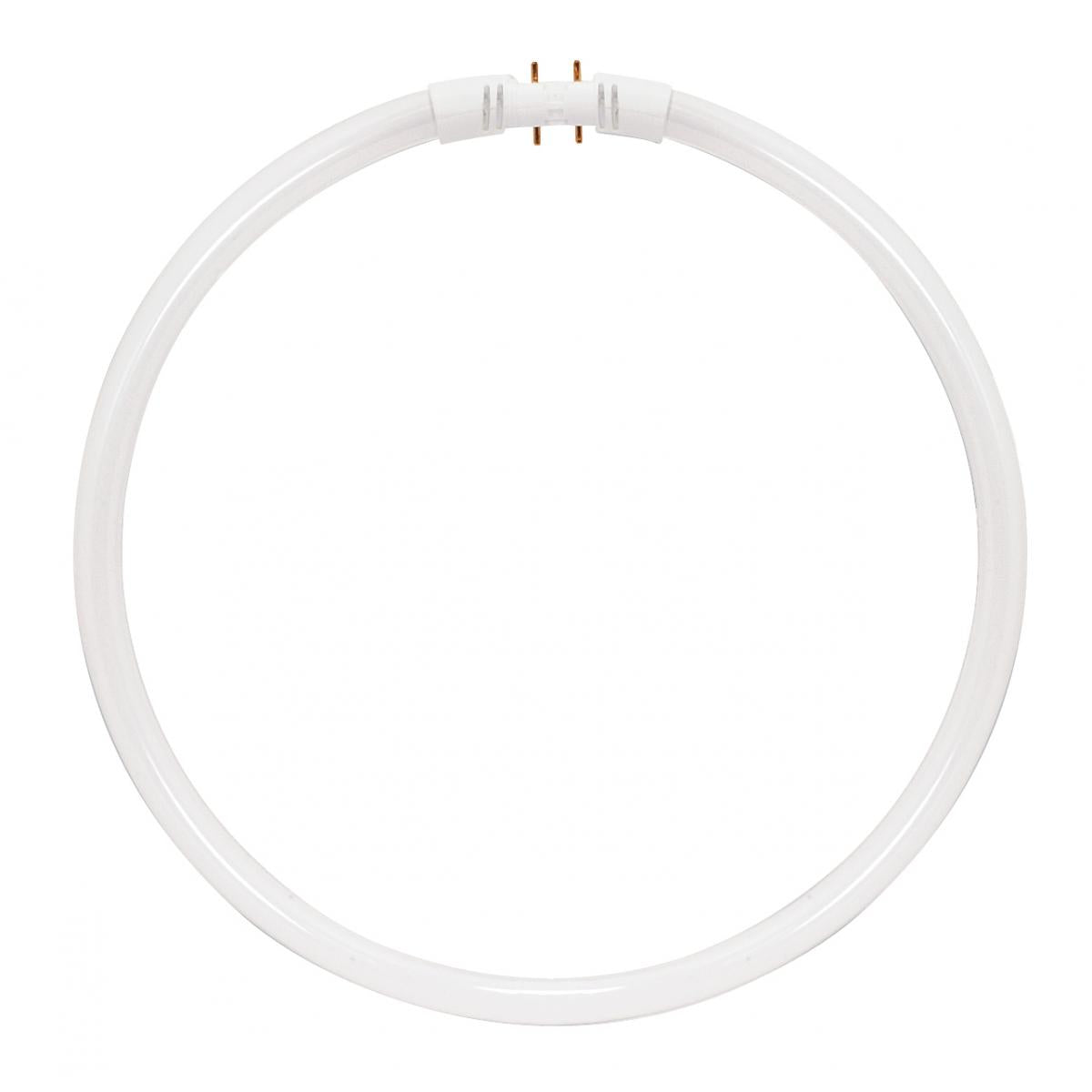 Satco S2955 22 Watt T5 Circline Fluorescent 3000K Warm White 82 CRI 2GX13 (4-Pin) base
