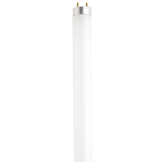 Satco S6537 F32T8/841/ECO 32 Watt T8 Fluorescent 4100K Cool White 85 CRI Medium Bi Pin base - CASE PACK 36