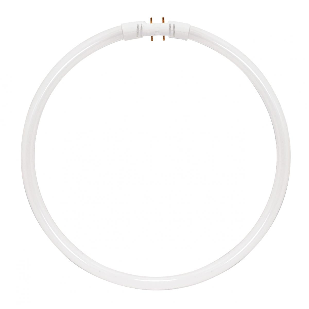 Satco S8157 FC22T5/841 Fc22t5/841 22 Watt T5 Circline Fluorescent 4100K Cool White 82 CRI 2GX13 (4-Pin) base