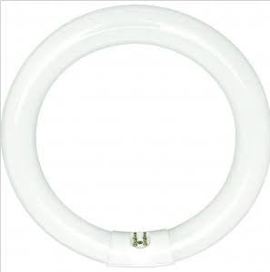 Sylvania 20142 FC12T9/CW/RS 32W 12" T9 Circline Cool White